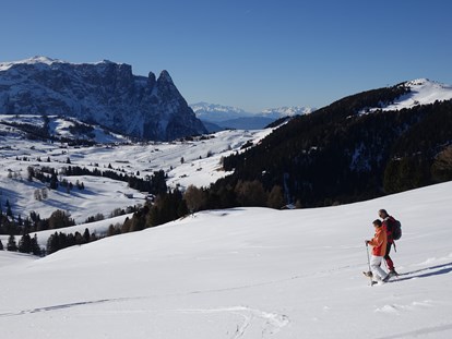 Urlaub auf dem Bauernhof - Mithilfe beim: Tiere füttern - Winter- & Schneehschuhwandern in Südtirol: Natur. Ruhe & Stille. Erholung pur.
Die Dolomitenregion Seiser Alm lädt zum Winter- und Schneeschuhwandern - Binterhof