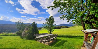Urlaub auf dem Bauernhof - Jahreszeit: Frühlings-Urlaub - Außenbereich Binterhof - Binterhof