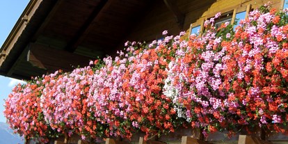 Urlaub auf dem Bauernhof - Fernseher am Zimmer - Italien - Liebevoll dekorierte Balkone am Binterhof - Binterhof