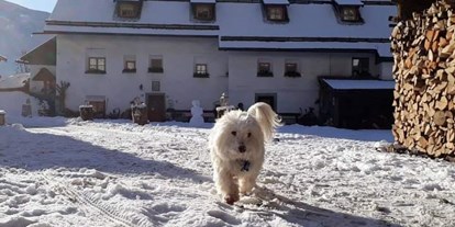 Urlaub auf dem Bauernhof - Wanderwege - Italien - Winter am Oberwieserhof - Ferienwohnungen Oberwieserhof