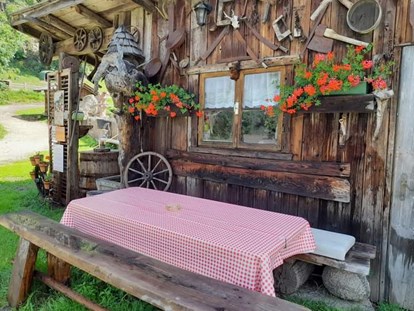 Urlaub auf dem Bauernhof - Stromanschluss: für E-Bikes - Trentino-Südtirol - Garten - Ferienwohnungen Oberwieserhof