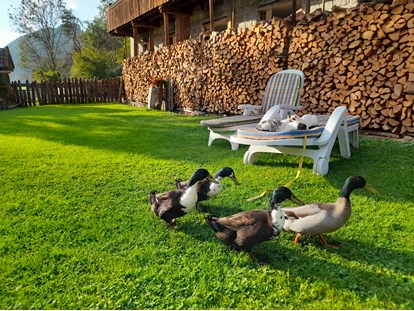 Urlaub auf dem Bauernhof - Mithilfe beim: Tiere füttern - 😄 - Ferienwohnungen Oberwieserhof