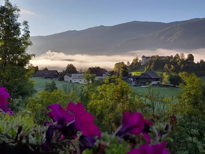 Urlaub auf dem Bauernhof - selbstgemachte Produkte: Kräuter - Mayrhofen (Mayrhofen) - Unsere Nachbarschaft - Ferienwohnungen Oberwieserhof
