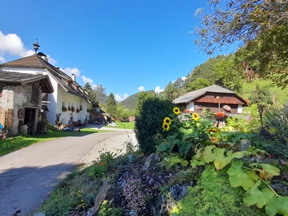 vacanza in fattoria - Tiere am Hof: Hunde - Südtirol - Unsere Hofzufahrt - Ferienwohnungen Oberwieserhof