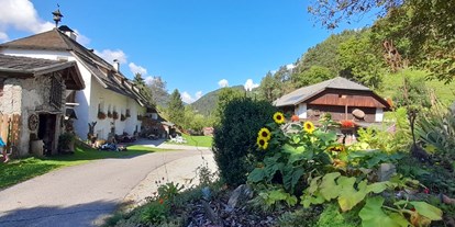 Urlaub auf dem Bauernhof - Umgebung: Urlaub in den Bergen - Unsere Hofzufahrt - Ferienwohnungen Oberwieserhof