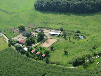 Urlaub auf dem Bauernhof - Tiere am Hof: Pferde - Luftbild Gut Friedenthal - Gut Friedenthal