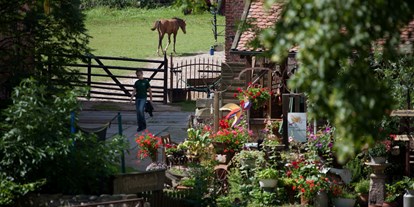 Urlaub auf dem Bauernhof - Tiere am Hof: Gänse - Deutschland - Naturbauernhof Gierke