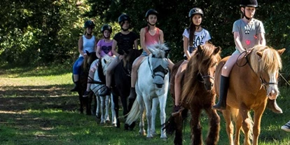 Urlaub auf dem Bauernhof - Tiere am Hof: Ponys - Möser - Reiter- und Erlebnisbauernhof Groß Briesen