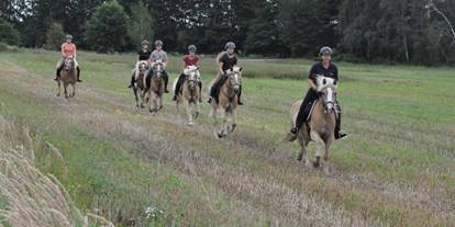 vacanza in fattoria - Tiere am Hof: Ponys - Germania - Ausritte - Haflingerhof Noack