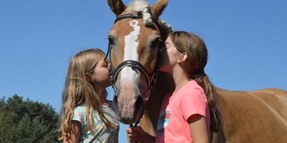 Urlaub auf dem Bauernhof - Tiere am Hof: Pferde - Deutschland - Reiterferien für Kinder - Haflingerhof Noack