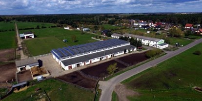 Urlaub auf dem Bauernhof - Tiere am Hof: Streicheltiere - Deutschland - Luftbild - Haflingerhof Noack