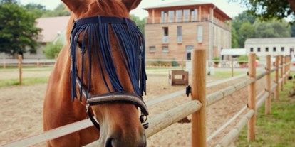 Urlaub auf dem Bauernhof - Tiere am Hof: Pferde - Rönnebeck - Herzlich Willkommen am Landgut - Landgut Schönwalde