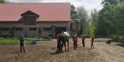 Urlaub auf dem Bauernhof - Mithilfe beim: Tiere füttern - Löwenberger Land - Unsere Voltigiertruppe - Landgut Schönwalde