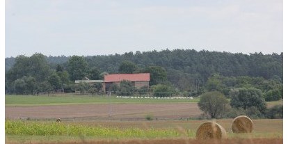 Urlaub auf dem Bauernhof - Stromanschluss: für E-Autos - Löwenberger Land - Feldansicht des Hofes - Hof Georgenhöhe