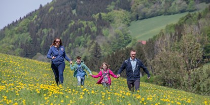 vacation on the farm - erreichbar mit: Auto - Graben (Randegg) - Spaziergang mit der ganzen Familie in den wunderschön blühenden Wiesen. - Ferienhof Pfaffenlehen