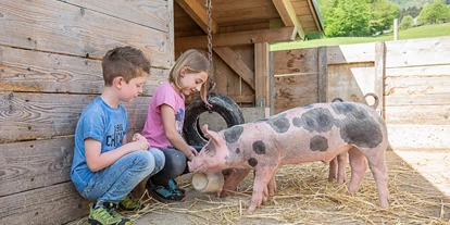 Urlaub auf dem Bauernhof - Frühstück - Wildenmaierhof - Die Schweine sind auch neugierig, was gibt es da gutes. - Ferienhof Pfaffenlehen