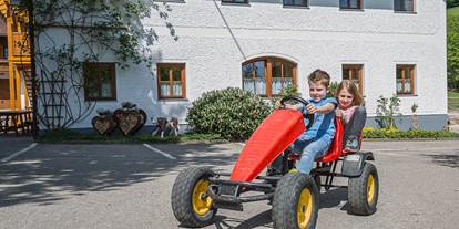 vacation on the farm - Bio-Bauernhof - Oberschlierbach - Da wachsen die Muskeln. - Ferienhof Pfaffenlehen