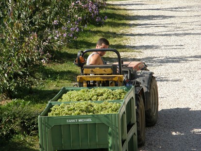 Urlaub auf dem Bauernhof - Traktor fahren - Kerschbamerhof im Süden Südtirols