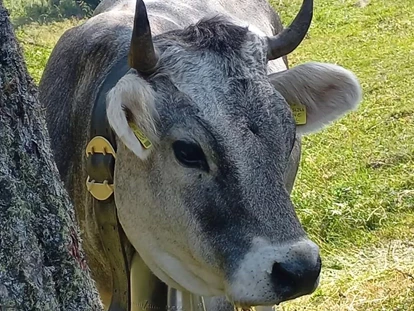 Urlaub auf dem Bauernhof - Verleih: Wanderstöcke - Völs am Schlern - Kerschbamerhof im Süden Südtirols