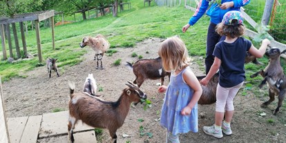 Urlaub auf dem Bauernhof - Mithilfe beim: Tiere füttern - Steiermark - Freundschaften schließen im Streichelzoo - Kindererlebnis-Bauernhof Perhofer