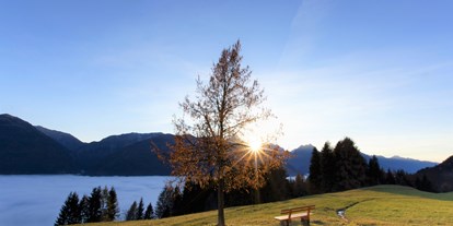 Urlaub auf dem Bauernhof - Kärnten - Wenn im Tal die Nebelsuppe steht herrscht bei uns am Berg meistens Sonnenschein - Panoramahof am Goldberg