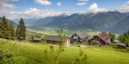 Urlaub auf dem Bauernhof - Umgebung: Urlaub in den Feldern - Nölbling - der Panoramahof mit Blick ins Gailtal und auf die Karnischen Alpen - Panoramahof am Goldberg