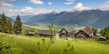 Urlaub auf dem Bauernhof - Umgebung: Urlaub in den Wäldern - Untersagritz - der Panoramahof mit Blick ins Gailtal und auf die Karnischen Alpen - Panoramahof am Goldberg