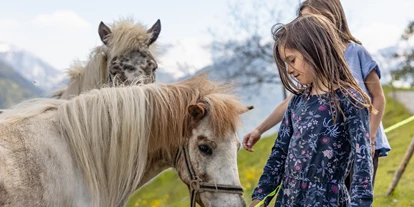 Urlaub auf dem Bauernhof - Mithilfe beim: Tiere pflegen - Unterzmöln - unsere zwei Ponys- Straciatella und Karamella - Panoramahof am Goldberg