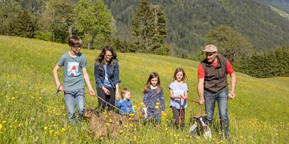 Urlaub auf dem Bauernhof - Umgebung: Urlaub in den Wäldern - Untersagritz - Spaziergang mit den Ziegen - Panoramahof am Goldberg