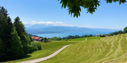 Urlaub auf dem Bauernhof - Umgebung: Urlaub in den Hügeln - Vorarlberg - Der Innauer Hof ist über dem Bodensee gelegen - Innauer Hof