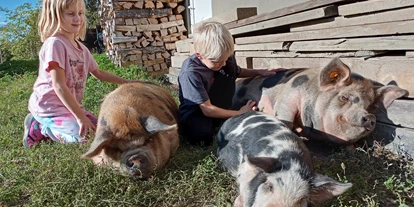 Urlaub auf dem Bauernhof - Tiere am Hof: Schweine - Gündorf - Simmhof