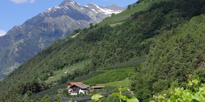 vacanza in fattoria - Klassifizierung Blumen: 3 Blumen - Trentino-Alto Adige - Oberötzbauerhof