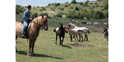 nyaralás a farmon - Art der Landwirtschaft: Imkerei - Le nostre passeggiate a cavallo - Agriturismo Bartoli