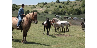 vacation on the farm - Kinderbetreuung - Italy - Le nostre passeggiate a cavallo - Agriturismo Bartoli