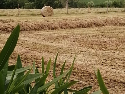 dovolená na farmě - Solferino - Paesaggio - Agriturismo Nuvolino - Monzambano