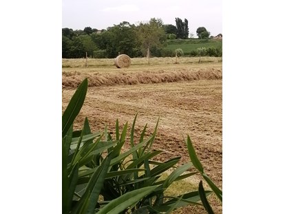 Urlaub auf dem Bauernhof - Lazise - Paesaggio - Agriturismo Nuvolino - Monzambano