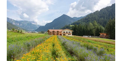 vacation on the farm - Jahreszeit: Sommer-Urlaub - Trentino-South Tyrol - Ecogreen Agriturismo Fiores immerso nei prati delle Dolomiti - Fiores Eco-Green Agriturismo e Azienda Agricola Biologica
