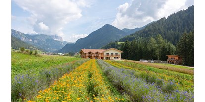 Urlaub auf dem Bauernhof - Klassifizierung Blumen: 5 Blumen - Trentino-Südtirol - Ecogreen Agriturismo Fiores immerso nei prati delle Dolomiti - Fiores Eco-Green Agriturismo e Azienda Agricola Biologica