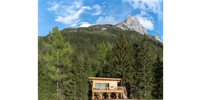 Urlaub auf dem Bauernhof - Tagesausflug möglich - Südtirol - La casa sull'albero in estate - Fiores Eco-Green Agriturismo e Azienda Agricola Biologica