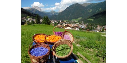 Urlaub auf dem Bauernhof - Stromanschluss: für E-Bikes - Südtirol - I nostri campi e le piante che coltiviamo - Fiores Eco-Green Agriturismo e Azienda Agricola Biologica