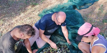 vacanza in fattoria - Radwege - Castiglioncello (LI) - raccolta olive - Agriturismo le Cerbonche