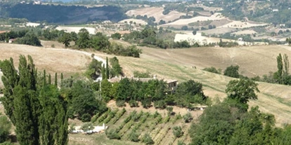 vacanza in fattoria - Art der Landwirtschaft: Weinbau - Pesaro Urbino - Agriturismo Le Cesane