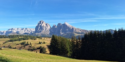 Urlaub auf dem Bauernhof - Trentino-Südtirol - Hof zu Fall