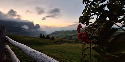vacanza in fattoria - Lana (Trentino-Südtirol) - Hof zu Fall
