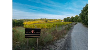 vacanza in fattoria - Art der Landwirtschaft: Weinbau - I nostri vigneti di Sangiovese - Fattoria di Gratena