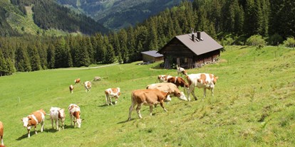 Urlaub auf dem Bauernhof - PLZ 3345 (Österreich) - Bio Bauernhof Braun