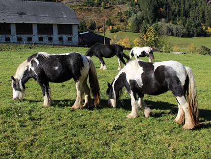 vacation on the farm - ideal für: Ruhesuchende - Lassing - Bio Bauernhof Braun