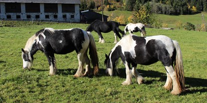 Urlaub auf dem Bauernhof - PLZ 8786 (Österreich) - Bio Bauernhof Braun