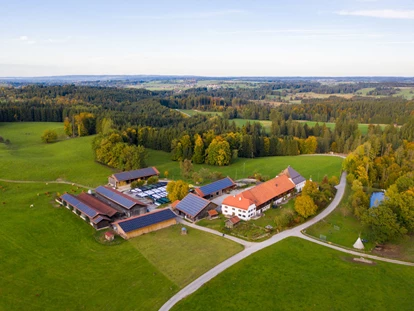 Urlaub auf dem Bauernhof - Tiere am Hof: Katzen - Eisenberg (Landkreis Ostallgäu) - Luftbild Grasleiten - Gut Grasleiten