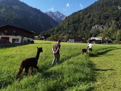 vacation on the farm - Art der Landwirtschaft: Tierhaltung - Crusch - Gästehaus zum Bären